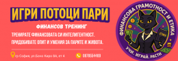 Финансов тренинг Игра Потоци пари